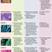 The Most Common Pathogens (continued).jpg